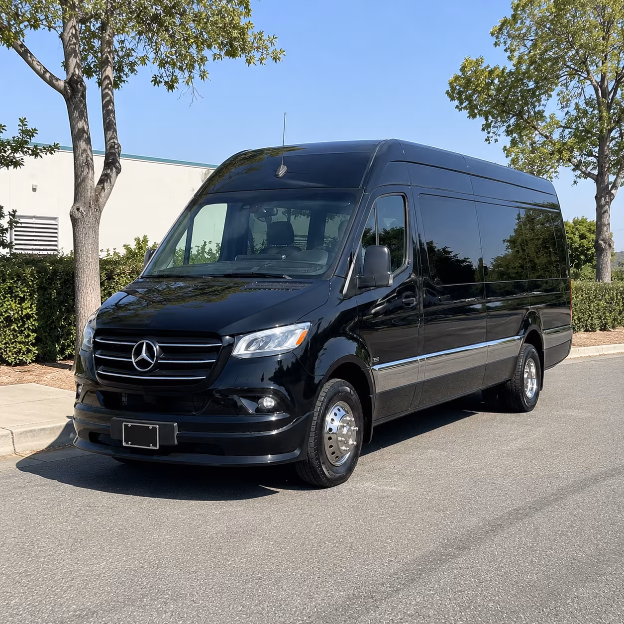 milpitas sprinter van with driver